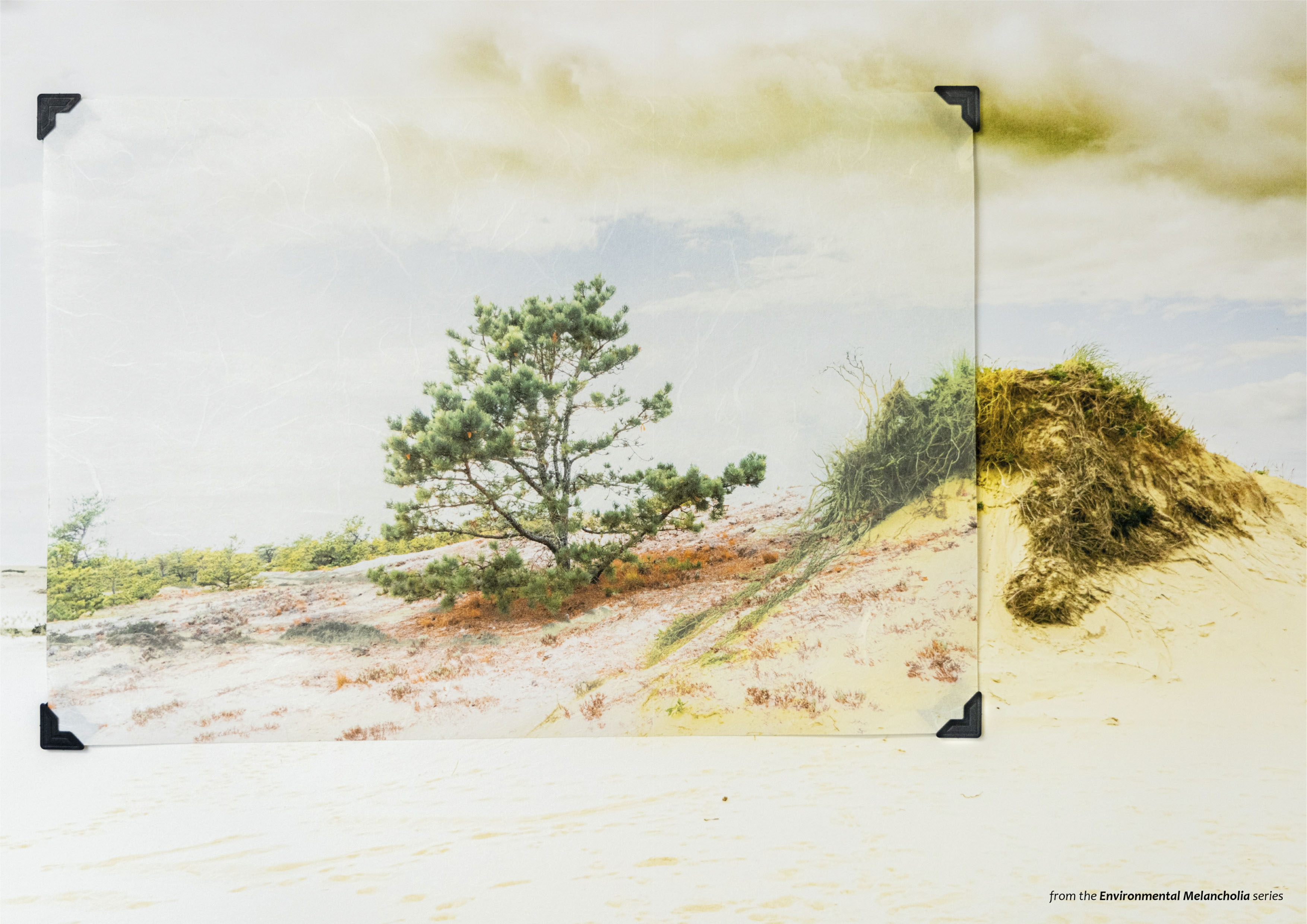 LandEscape Art Review 7